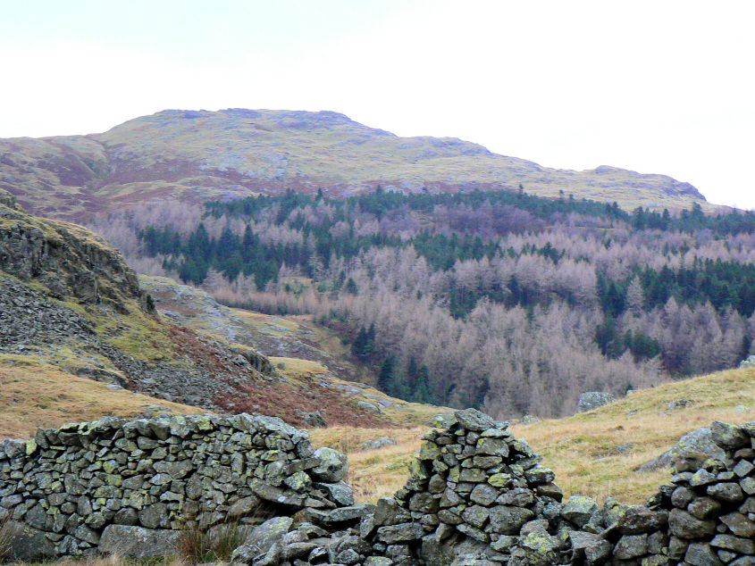 Blea Tarn Fell Blea Tarn Fell